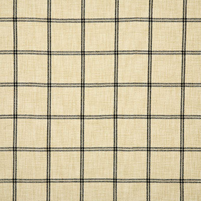 Pindler Fabric CLA076-BK11 Clayton Domino