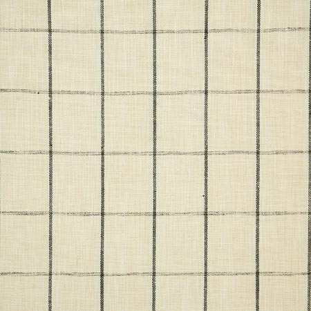 Pindler Fabric DEL054-BK01 Delsey Thunder