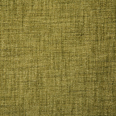 Pindler Fabric DUR020-GR01 Durham Spring