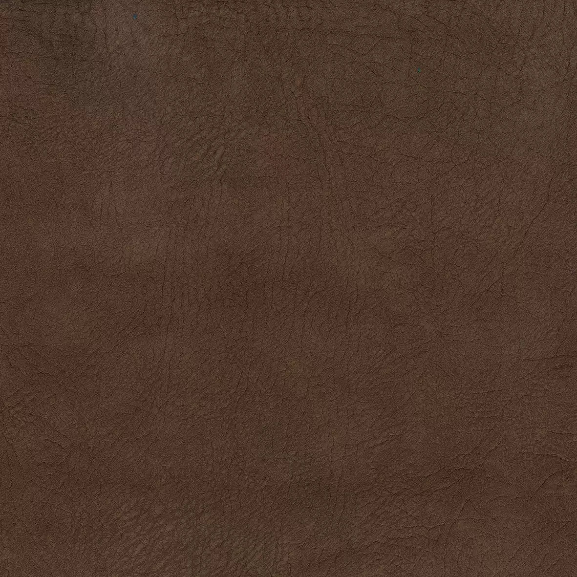 caresse-burnt-umber-osborne-little-f7140-05