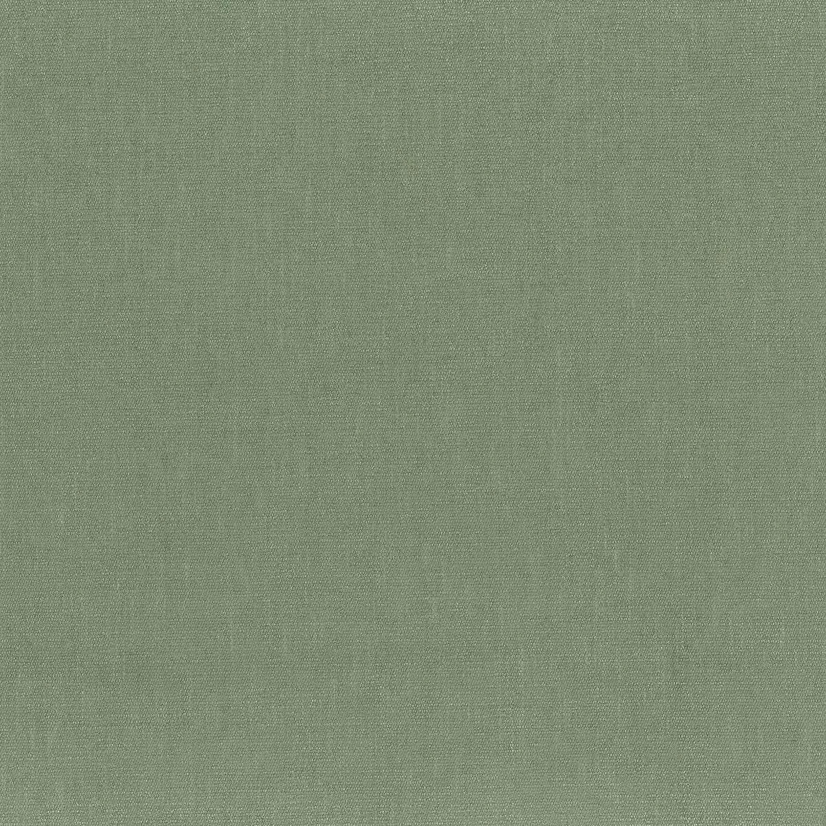 firma-lichen-osborne-little-f7601-02