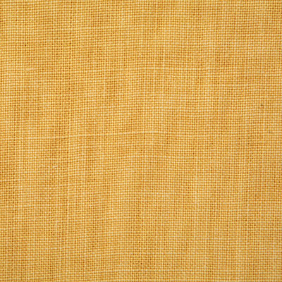 Pindler Fabric FAB013-YL11 Fabienne Yellow