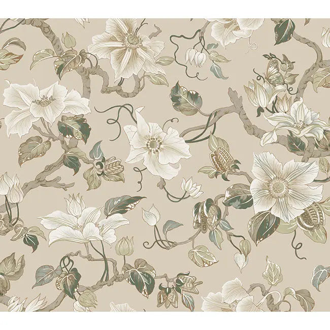 York Wallpaper GT4516 Marguerite Vine