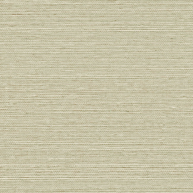 York Wallpaper GV0143NW Maguey Sisal