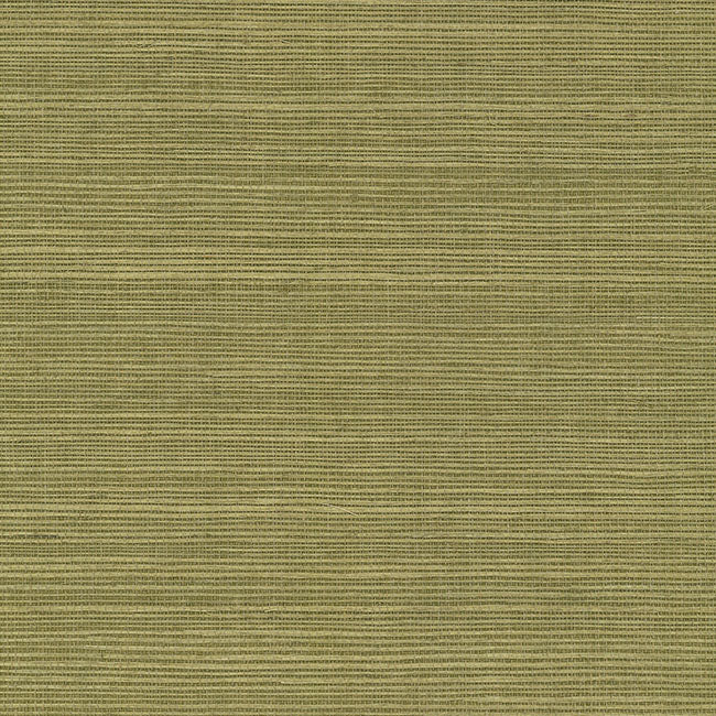 York Wallpaper GV0145NW Maguey Sisal