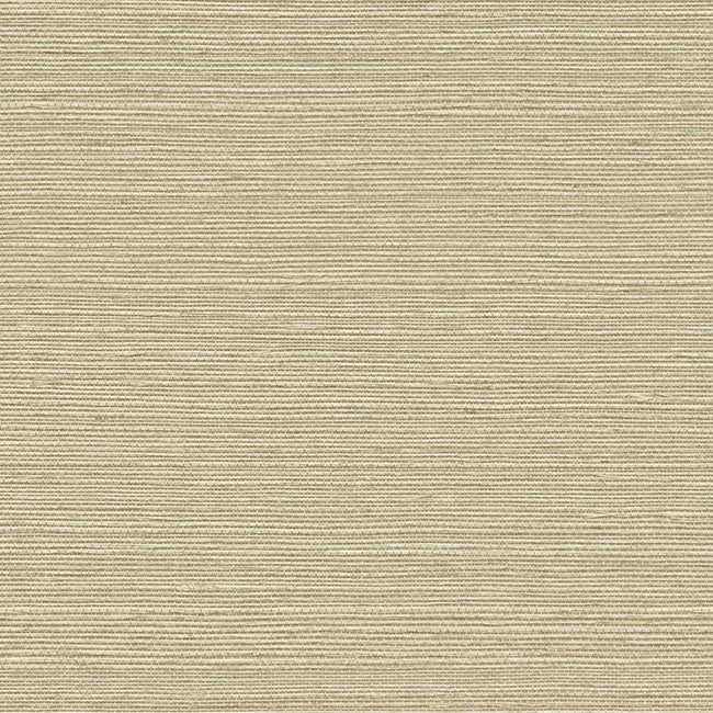 York Wallpaper GV0174NW Maguey Sisal