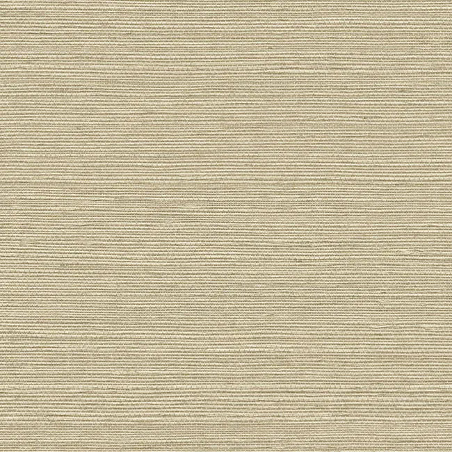 York Wallpaper GV0174NW Maguey Sisal