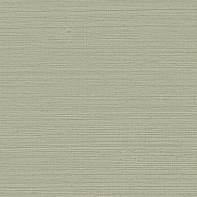 York Wallpaper GV0175NW Maguey Sisal