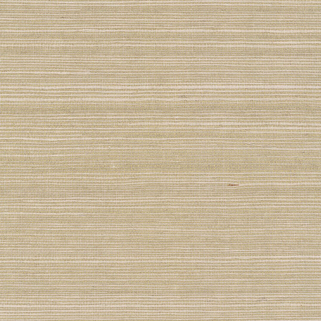 York Wallpaper GV0176NW Maguey Sisal