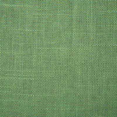 Pindler Fabric JEF001-GR82 Jefferson Leaf