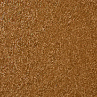 Pindler Fabric LAN149-BG09 Lange Honey