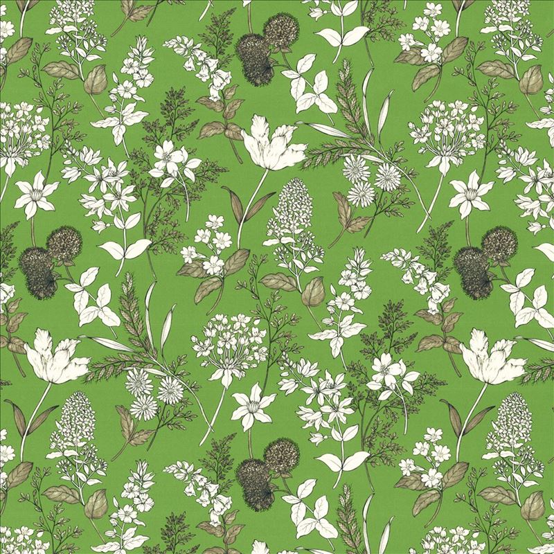 Kasmir Fabric Lily Fern