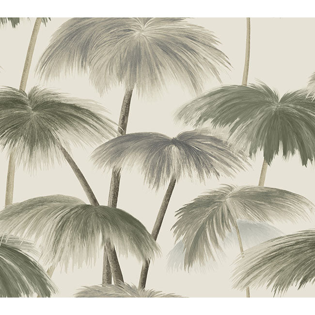 York Wallpaper LM5433 Plein Air Palms