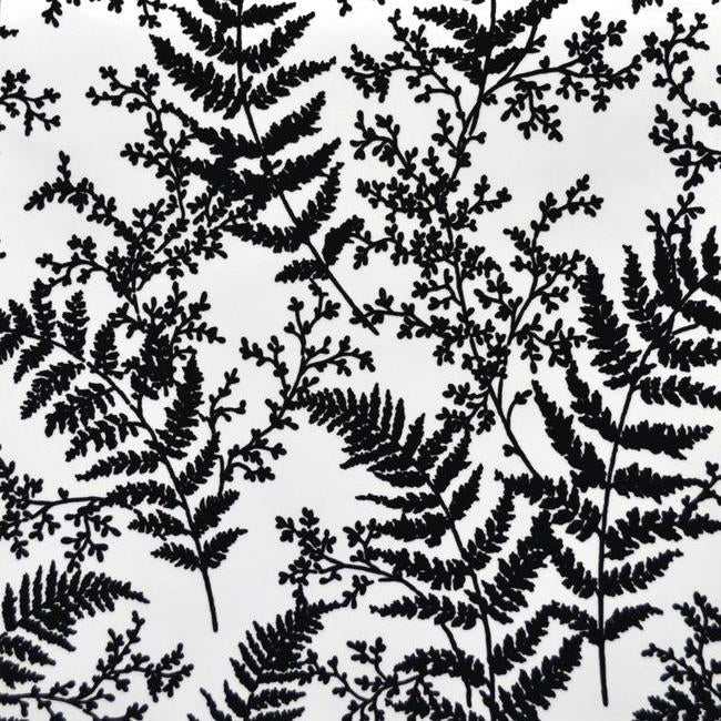 forest-fern-wallpaper-black-york-wallcoverings-me1583