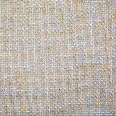Pindler Fabric MON094-BG01 Monica Natural