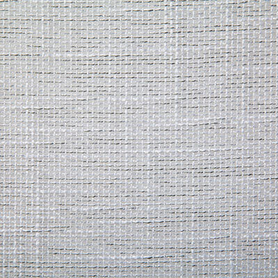 Pindler Fabric MON094-GY01 Monica Silver
