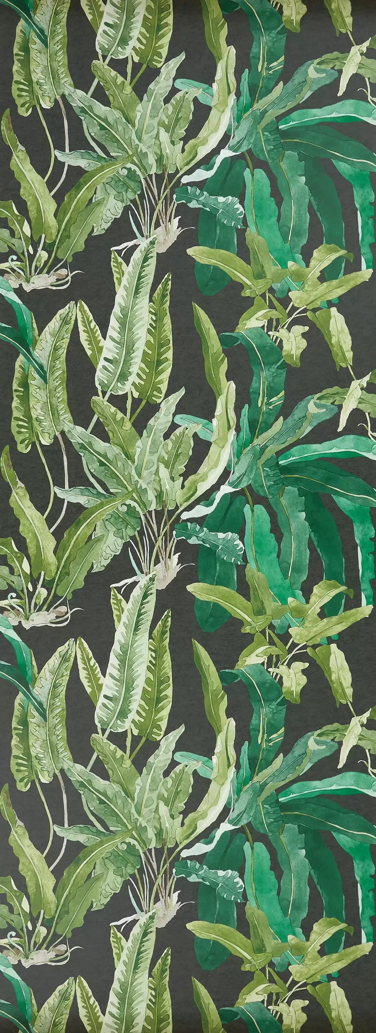 ashdown-benmore-emeraldgreenebony