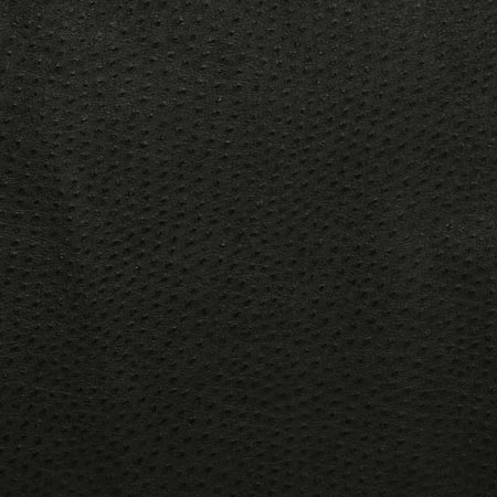 Pindler Fabric OUT002-BK01 Outback Ebony