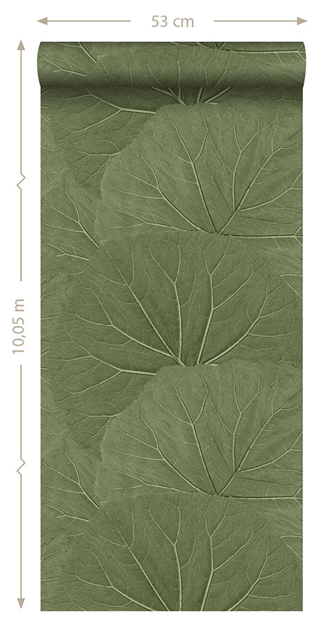 Xylem Olive Large Leaves Wallpaper - Brewster Wallcovering