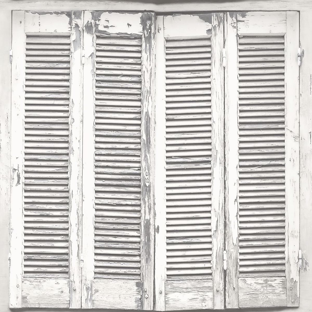 Picture of Lansbury Off-White Distressed Shutter Wallpaper