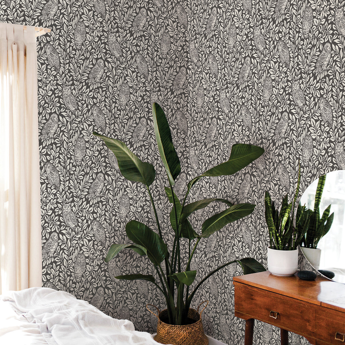 Charcoal Sleepy Owls Peel and Stick Wallpaper - Brewster Wallcovering