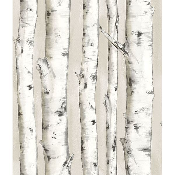 Picture of Pioneer Off-White Birch Tree Wallpaper