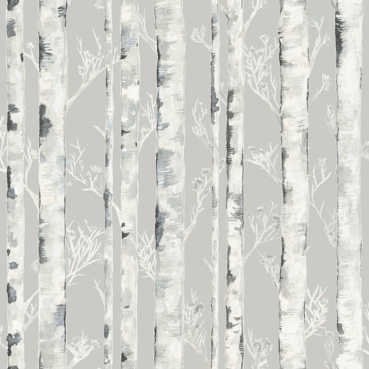 Picture of Birchdale Grey Peel and Stick Wallpaper