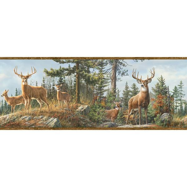 Fern Brown Whitetail Portrait Border