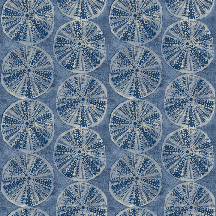 Picture of Sea Biscuit Blue Sand Dollar Wallpaper