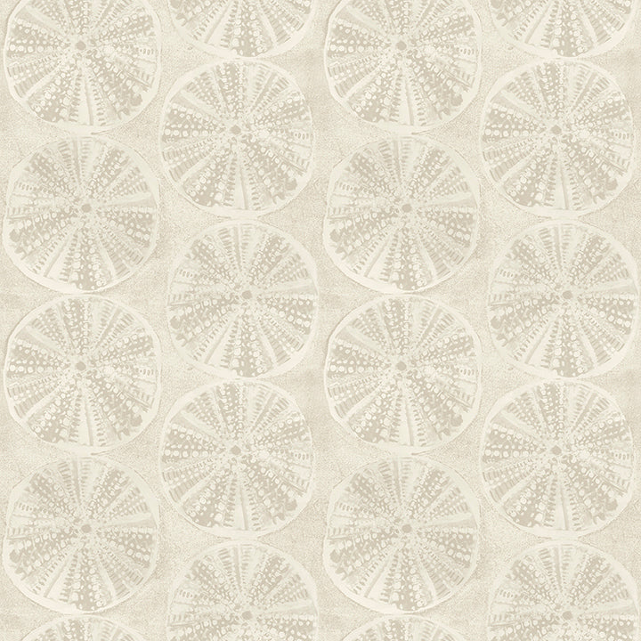 Picture of Sea Biscuit Beige Sand Dollar Wallpaper