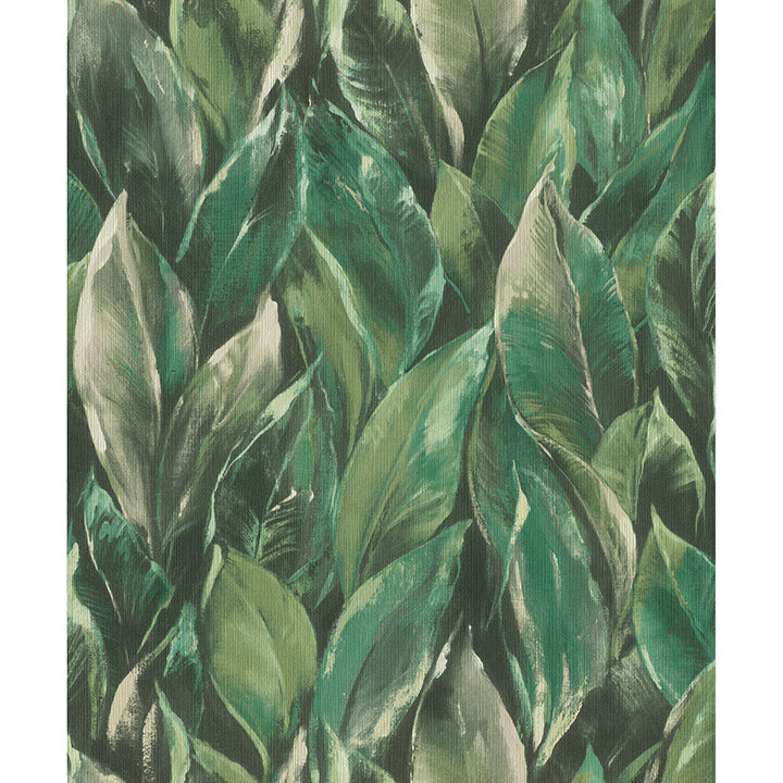 Picture of Maclayi Green Banana Leaf Wallpaper