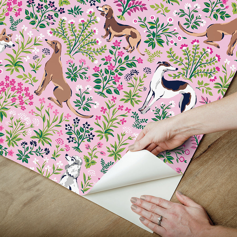 Must Love Dogs Pink Peel and Stick Wallpaper - Brewster Wallcovering