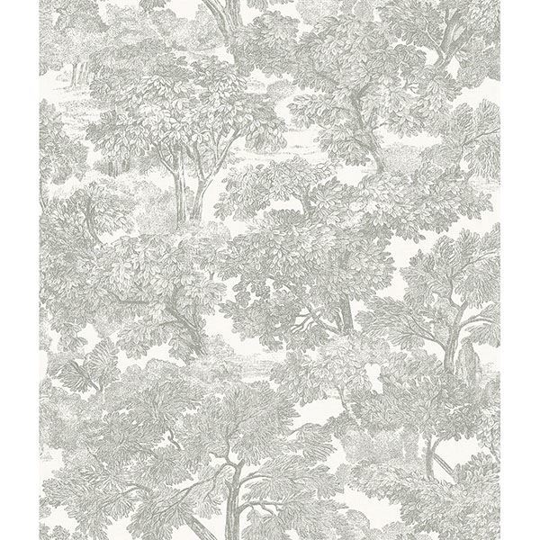 Picture of Spinney Grey Toile Wallpaper