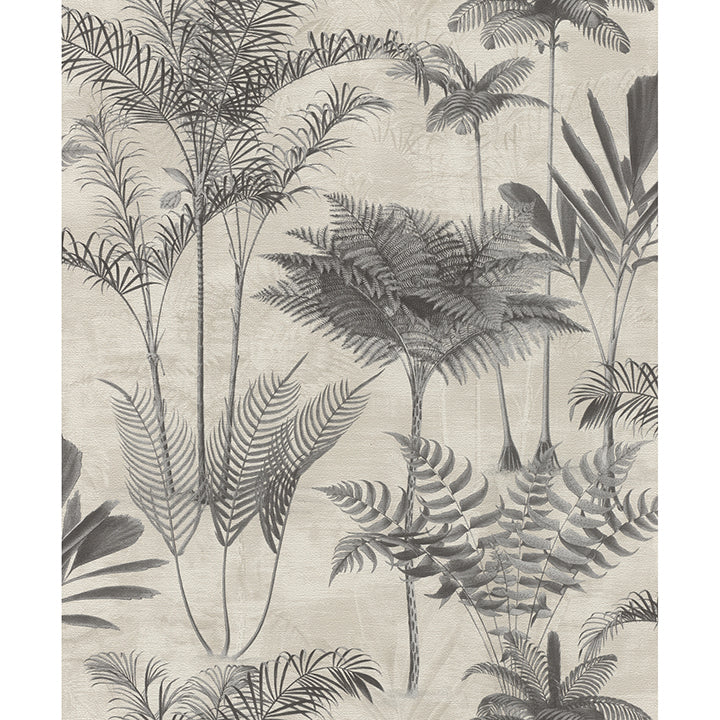 Picture of Kinabalu Charcoal Rainforest Wallpaper