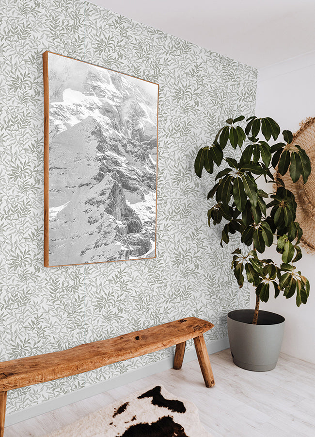 Sea Salt Grey Terrace Vines Peel and Stick Wallpaper - Brewster Wallcovering