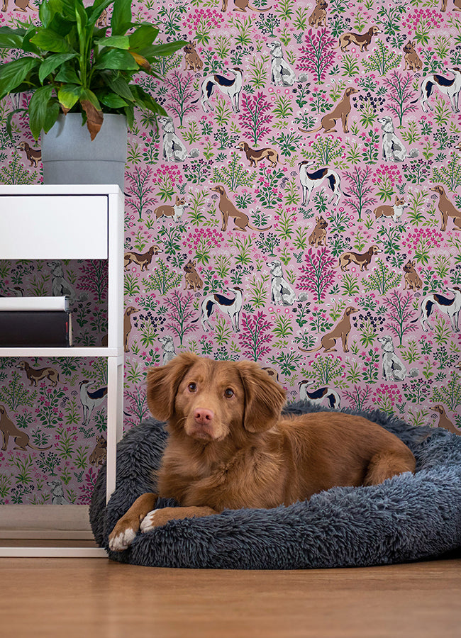 Must Love Dogs Pink Peel and Stick Wallpaper - Brewster Wallcovering