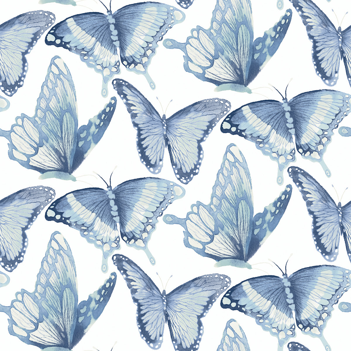 Picture of Janetta Blue Butterfly Wallpaper