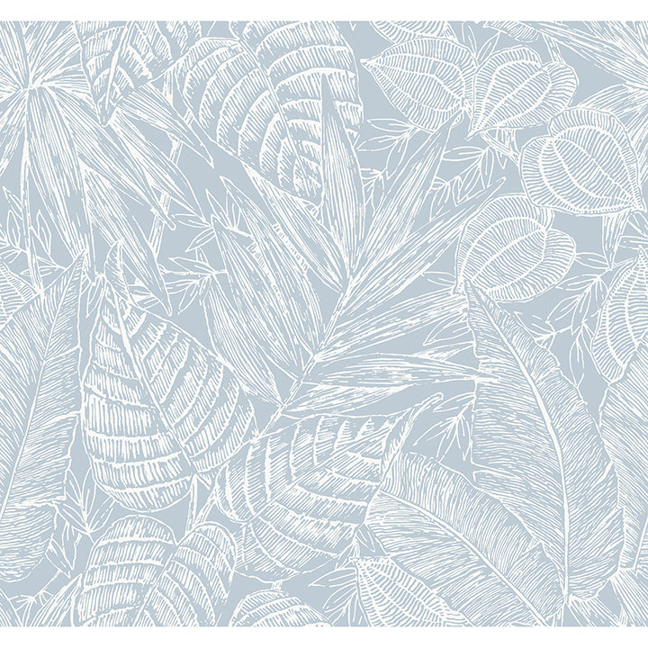 Picture of Brentwood Sky Blue Palm Leaves Wallpaper by Scott Living