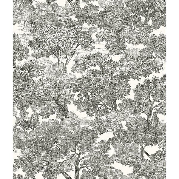 Picture of Spinney Black Toile Wallpaper