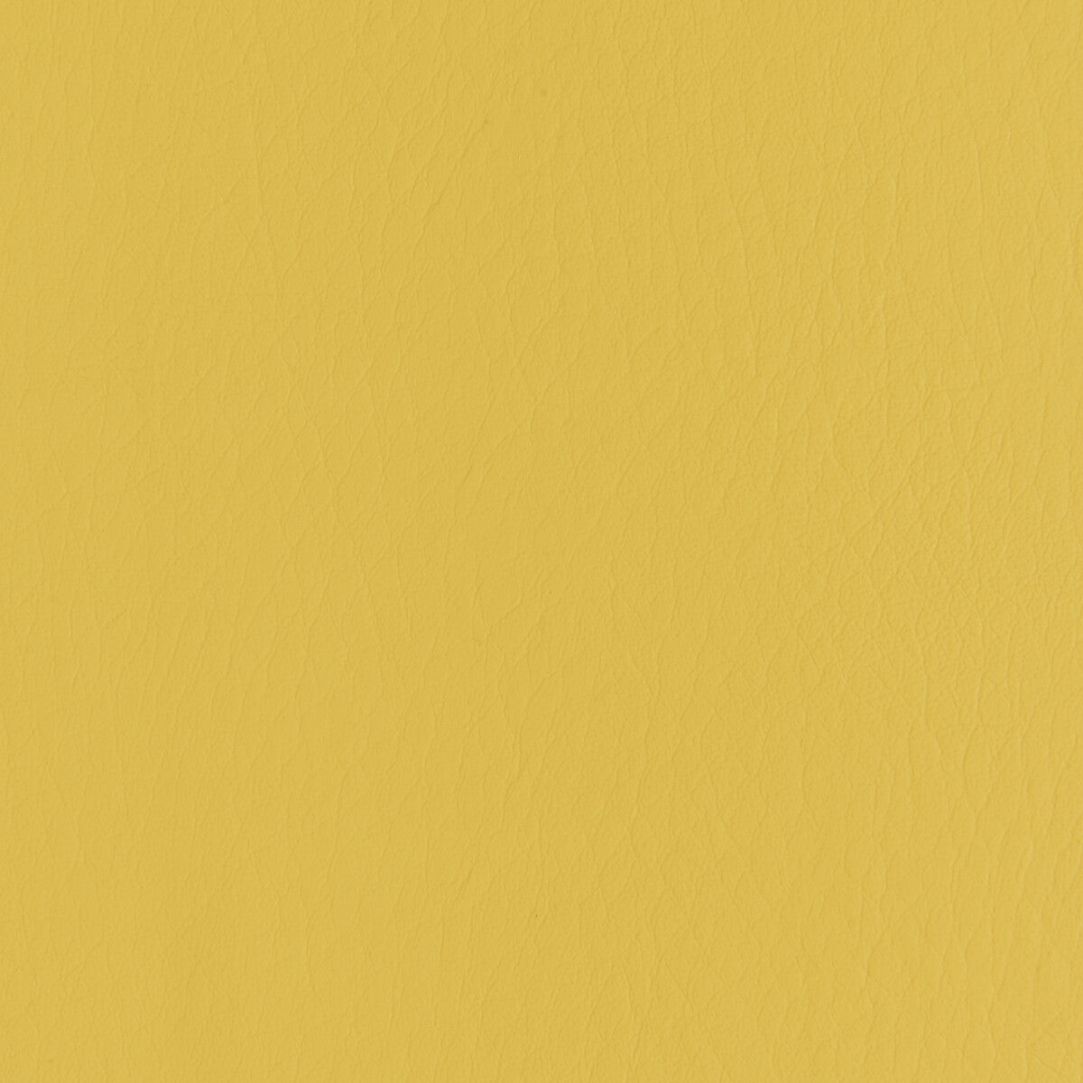 forza40-forza-dandelion-kravet-contract
