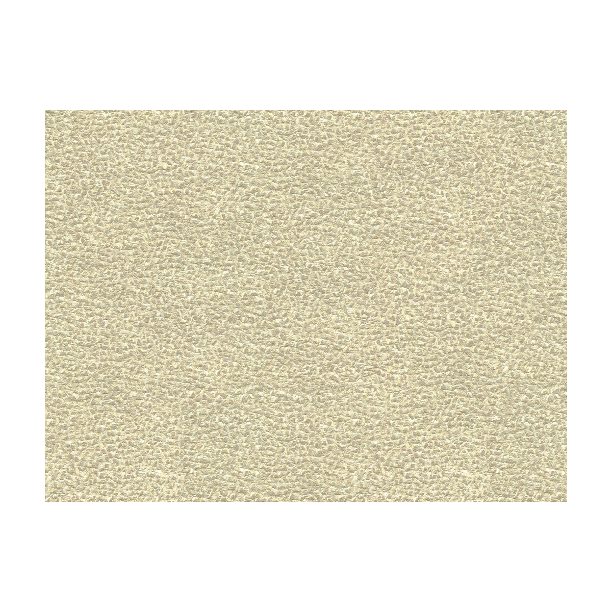 33456110-shagreen-luxury-platinum-kravet-couture