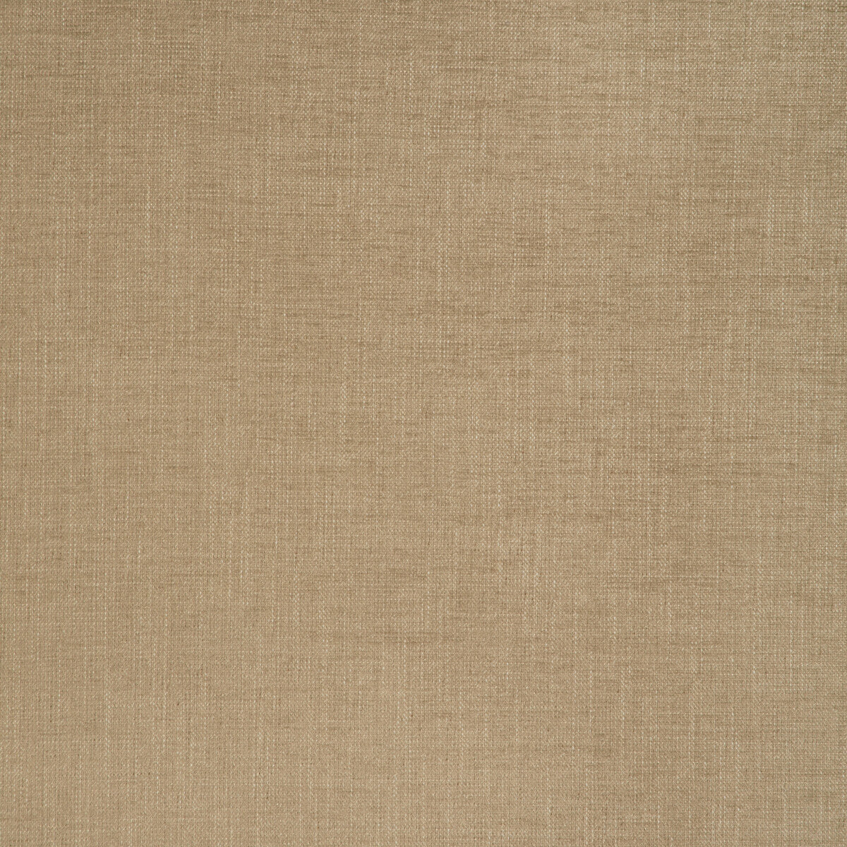 36649160-poet-plain-camel-kravet-basics