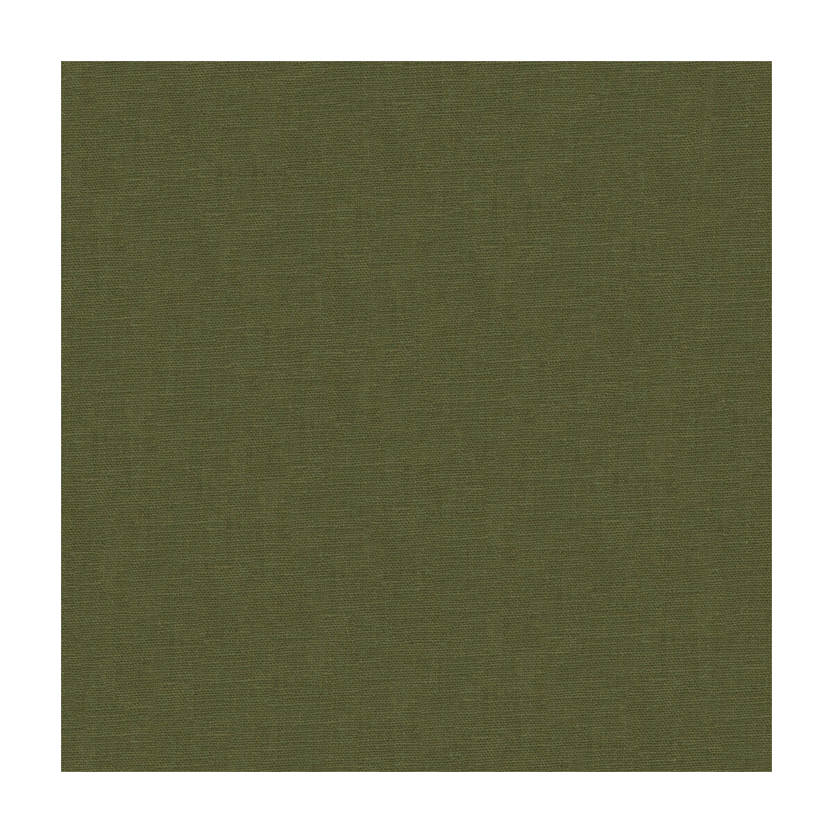 323443030-dublin-bamboo-kravet-basics