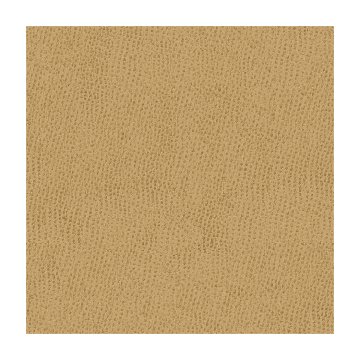 belus16160-kravet-contract-belus-1616-kravet-contract