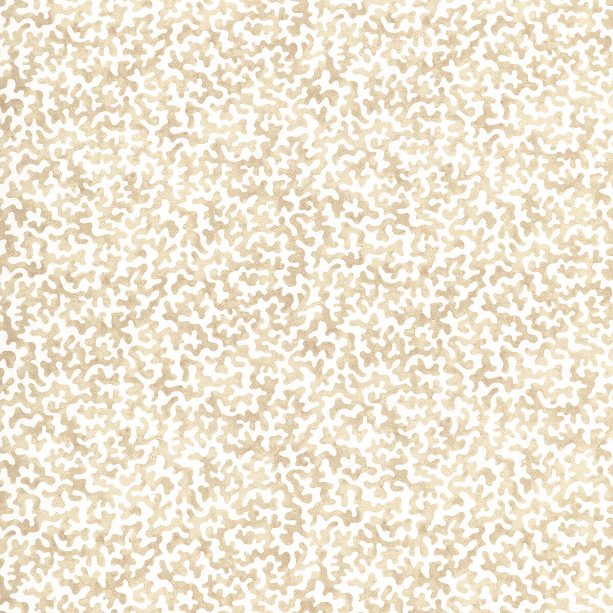 coralcoast1610-coralcoast-sand-kravet-basics