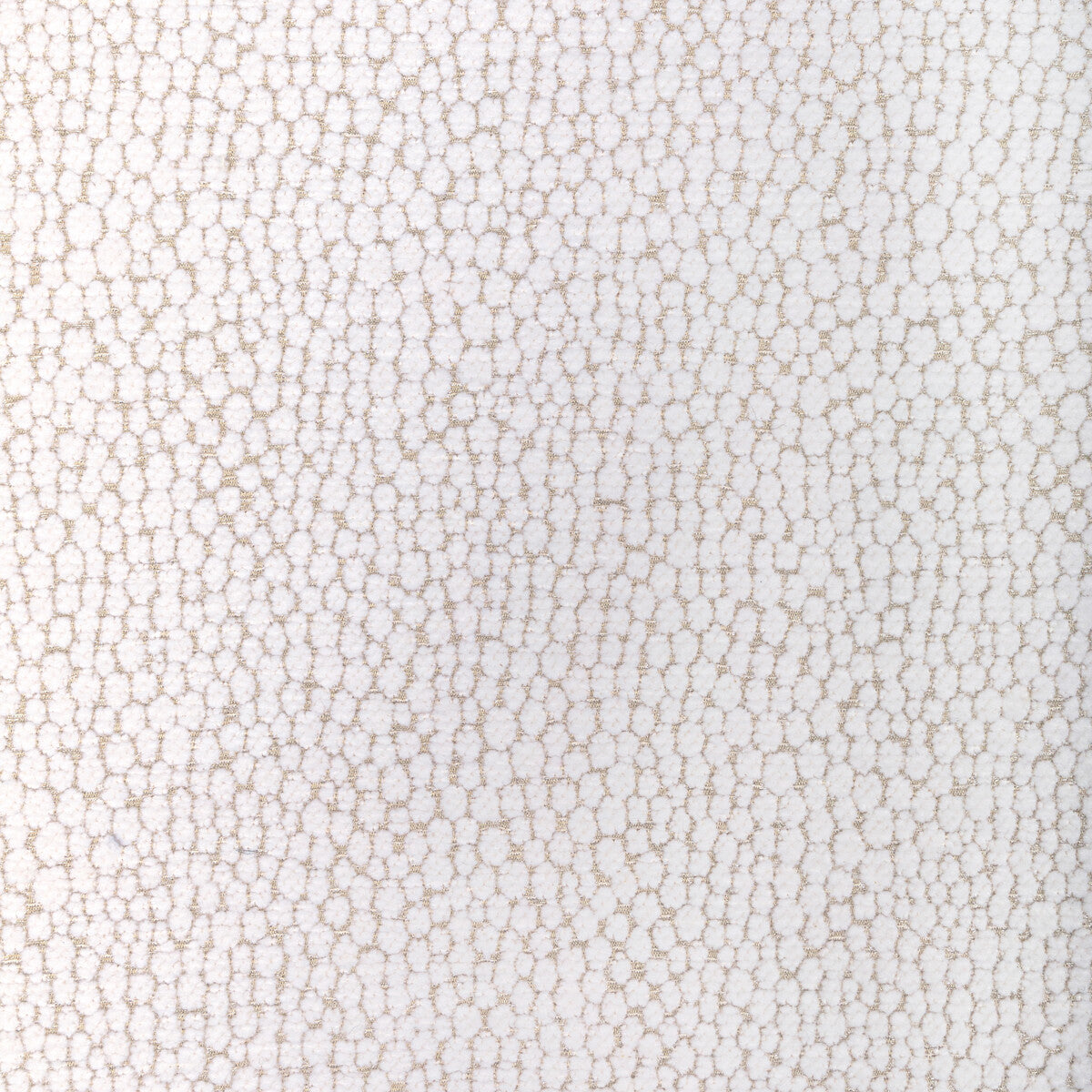 363491010-starfall-ivory-silver-kravet-couture