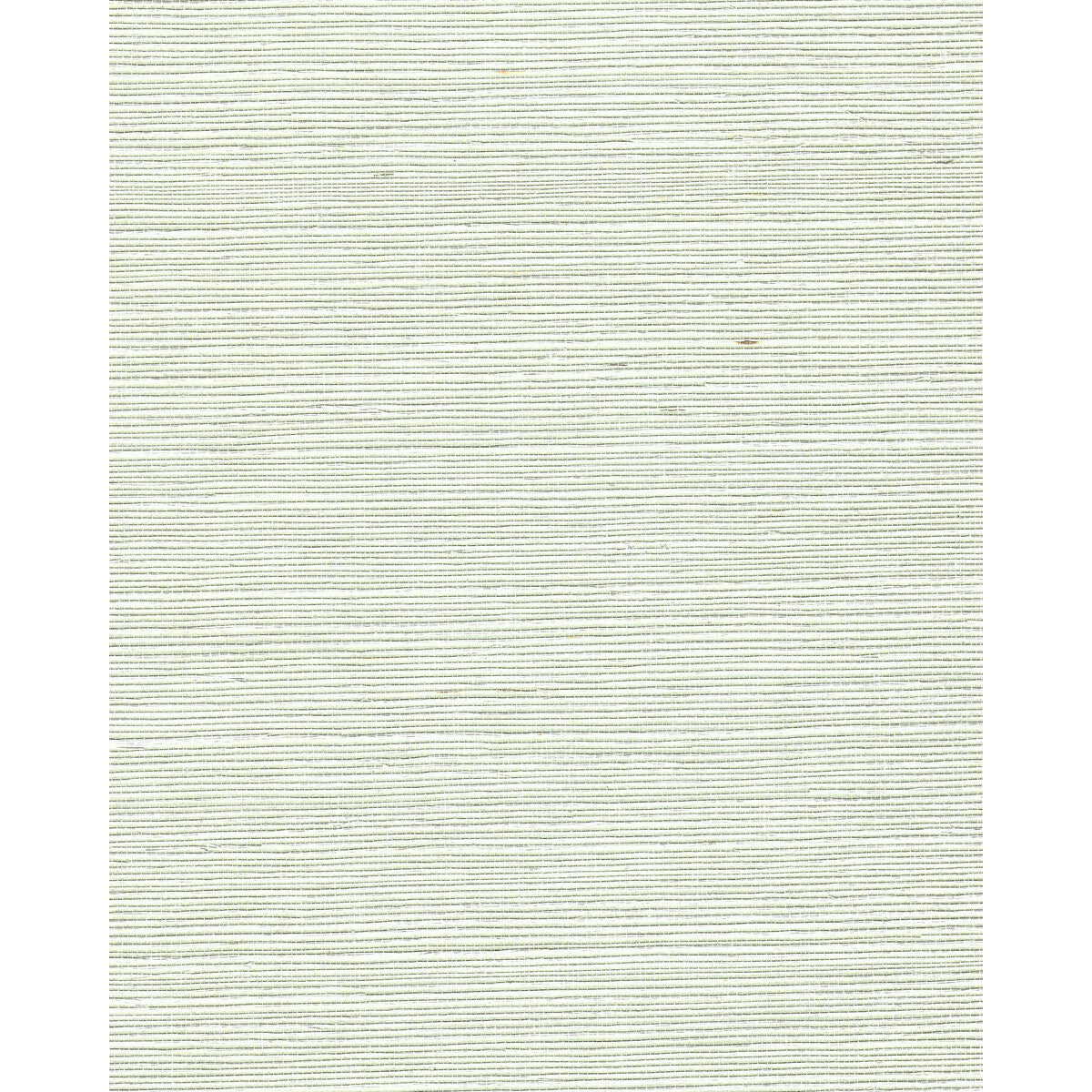 wnr2105wt0-chiyo-sisal-hint-of-green-winfield-thybony