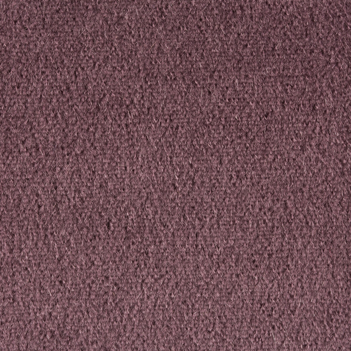 342597680-plazzo-mohair-quartz-kravet-couture