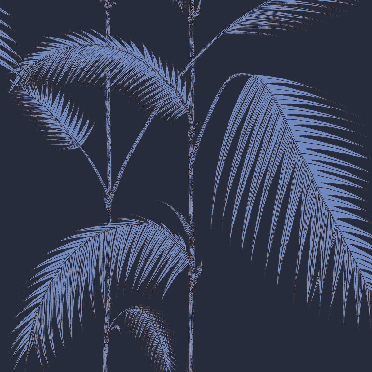 1122008cs0-palm-leaves-ink-cole-son