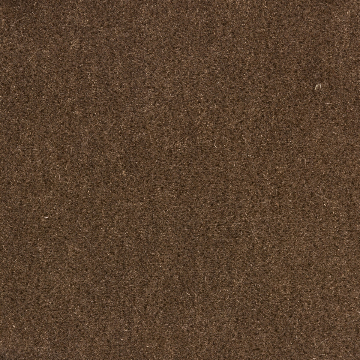 342586110-windsor-mohair-stone-kravet-couture